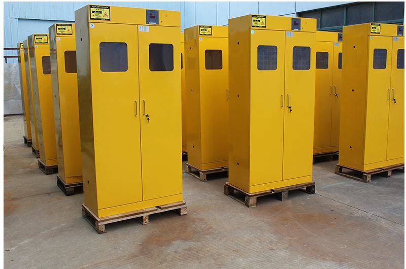 气瓶柜,实验室气瓶柜(全钢报警可选)